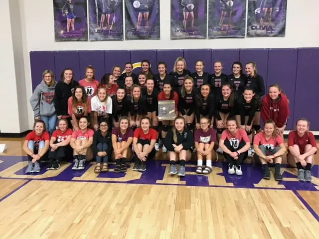 Sr Ladycats Win District
