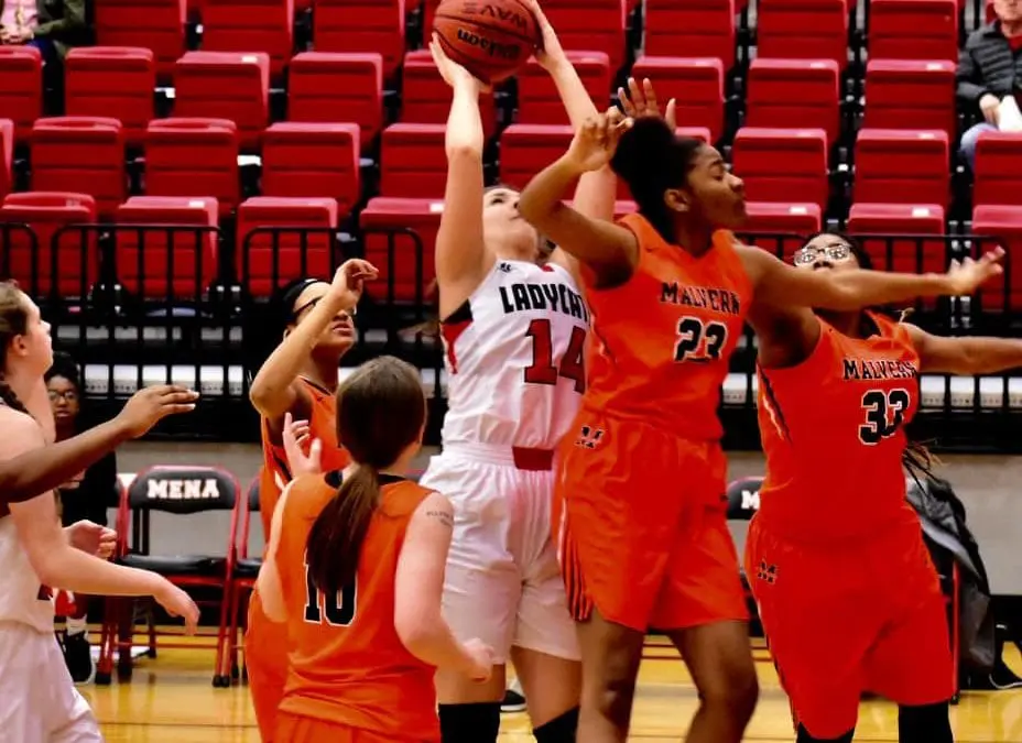 Ladycats Advance to District Semi-Finals