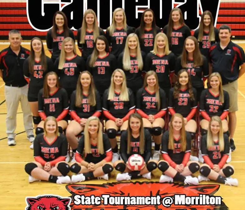Ladycats Head to State Tournament as #1 Seed