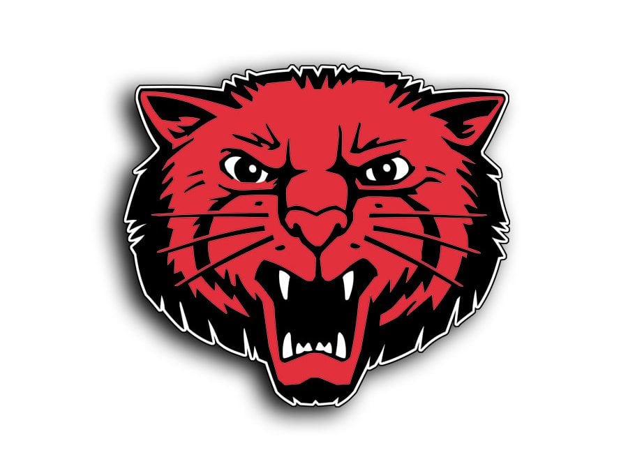 XC Sr. Bearcats win 7-4A District Runner-Ups